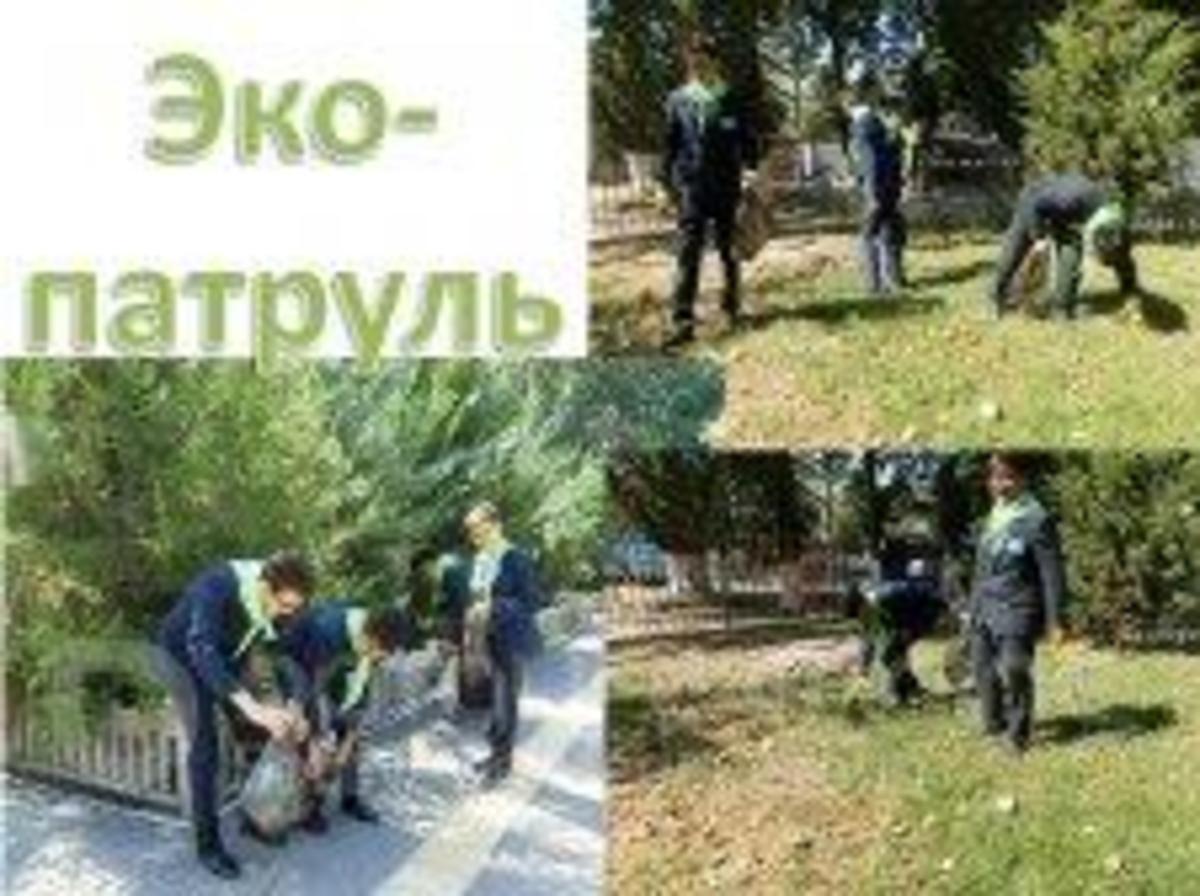 Эко-патруль