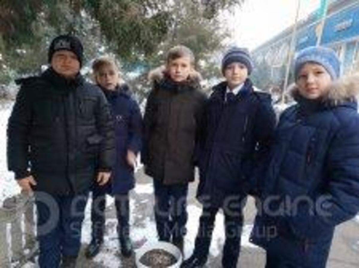 Акция "Покорми птиц зимой"