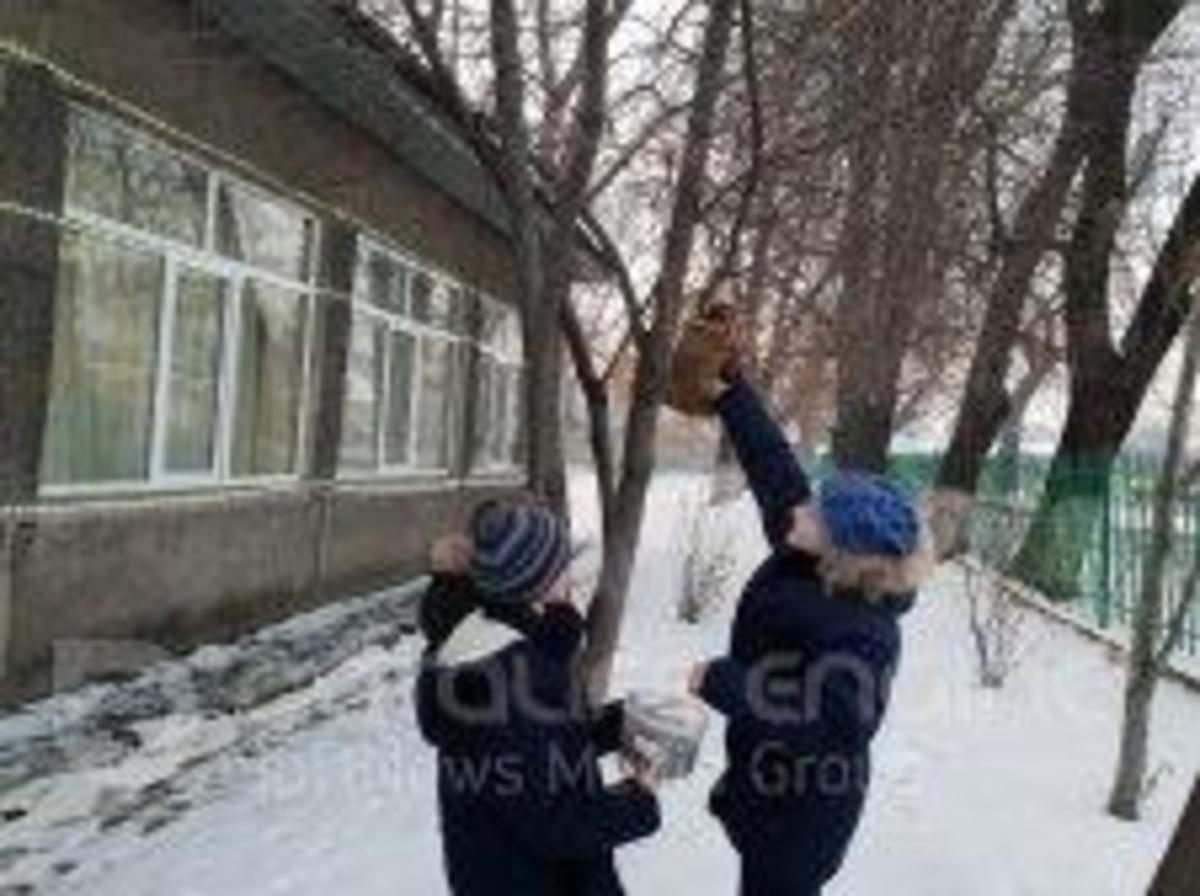 Акция "Покорми птиц зимой"