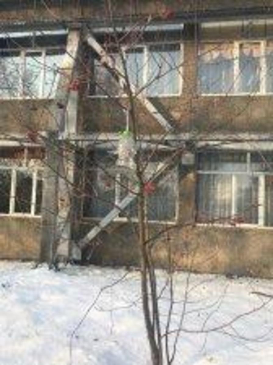 Акция "Покорми птиц зимой"