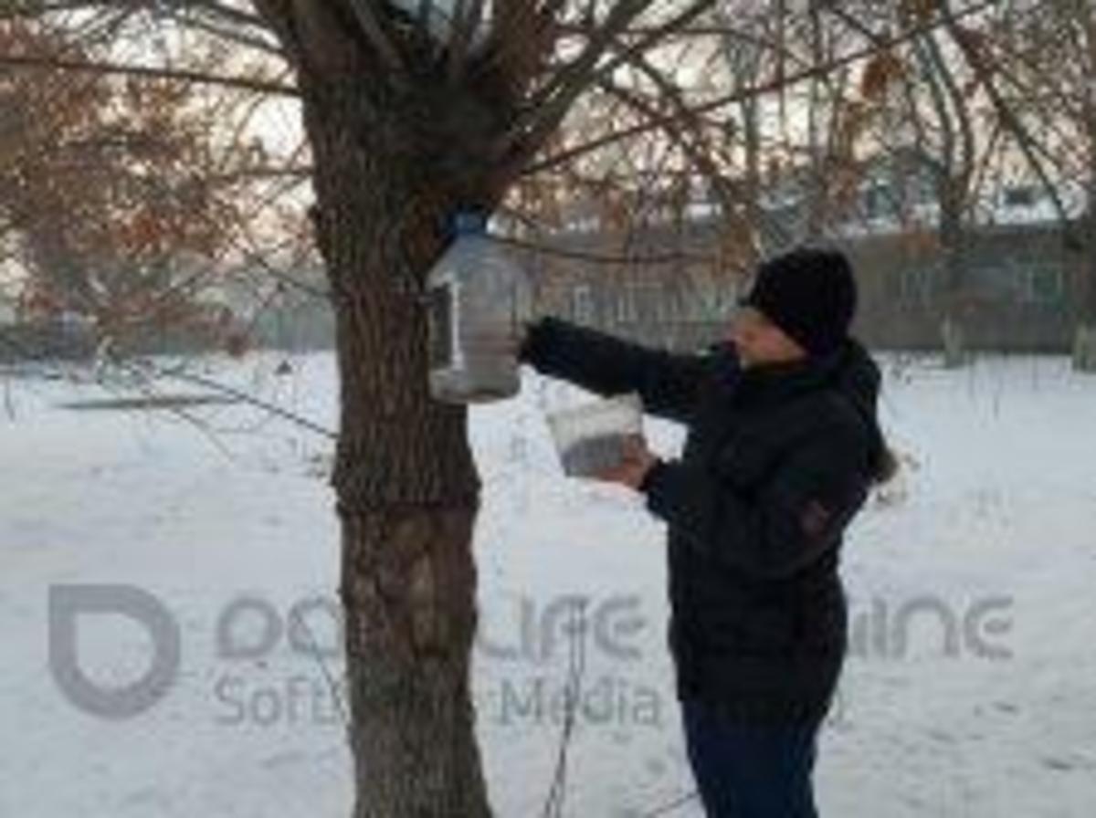 Акция "Покорми птиц зимой"