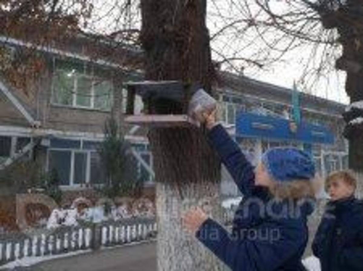 Акция "Покорми птиц зимой"