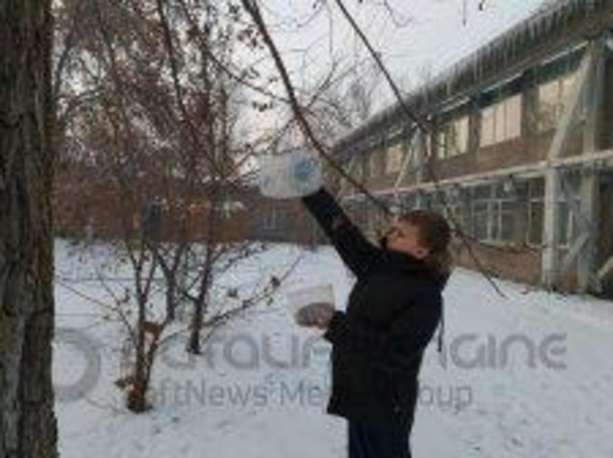 Акция "Покорми птиц зимой"