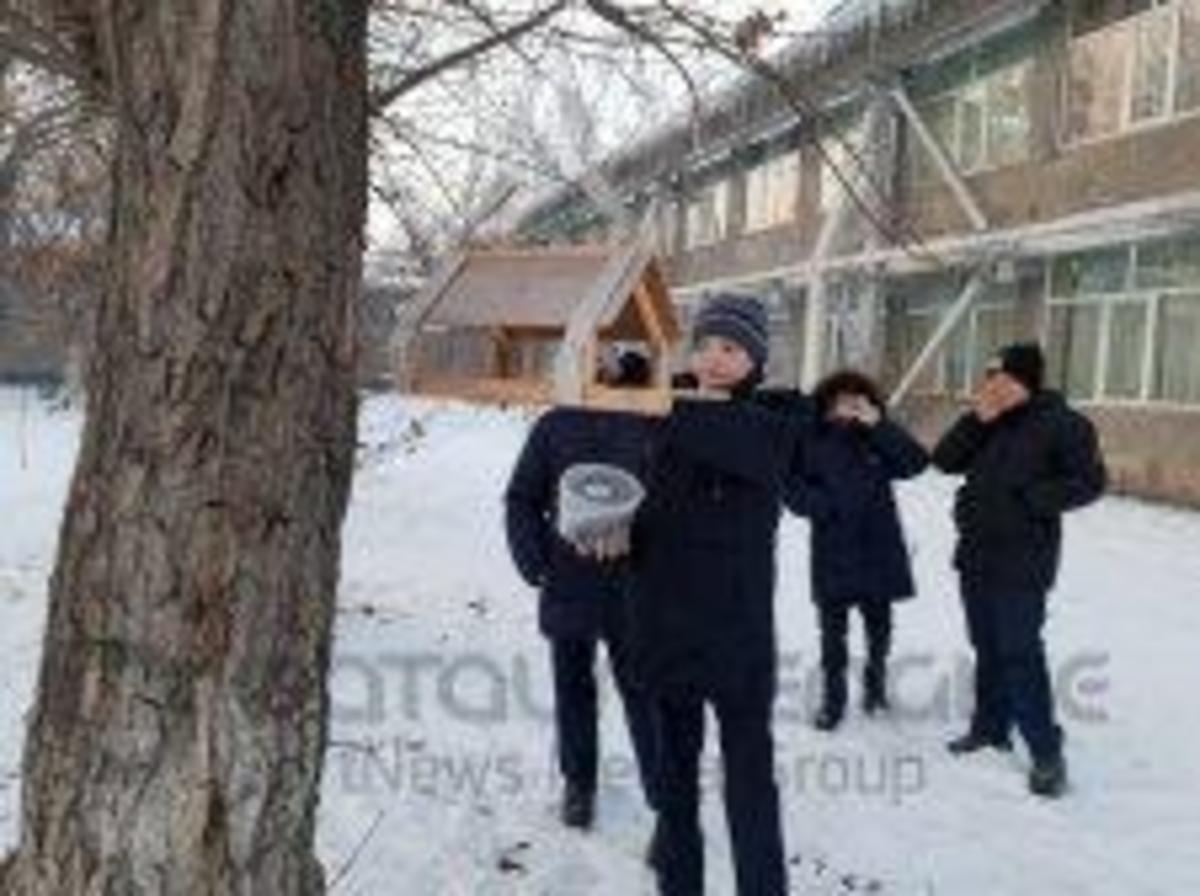 Акция "Покорми птиц зимой"