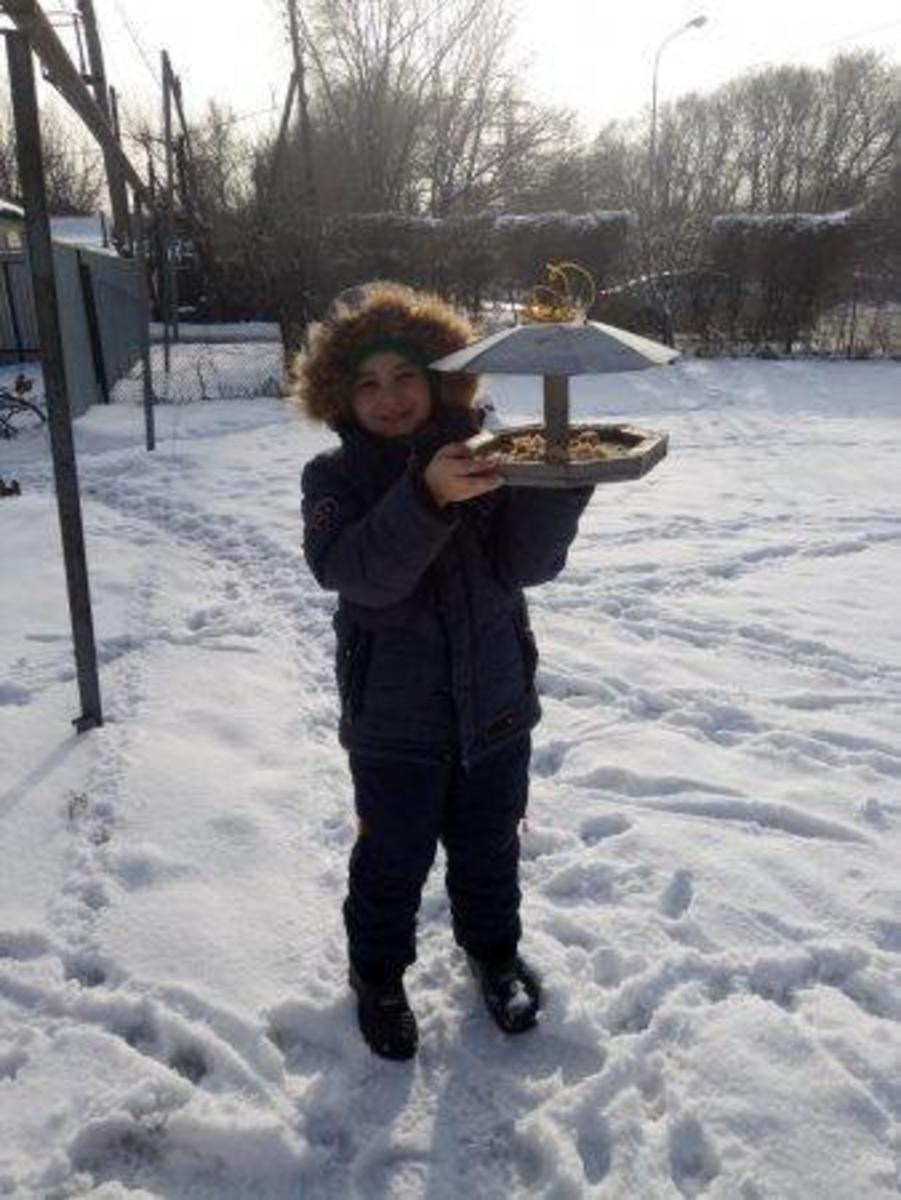 Кормушки для птиц