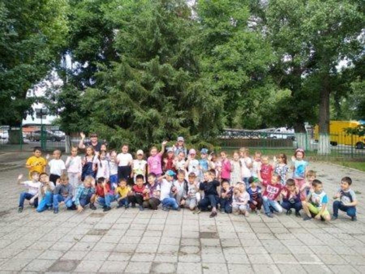 Пришкольный лагерь "Радуга"