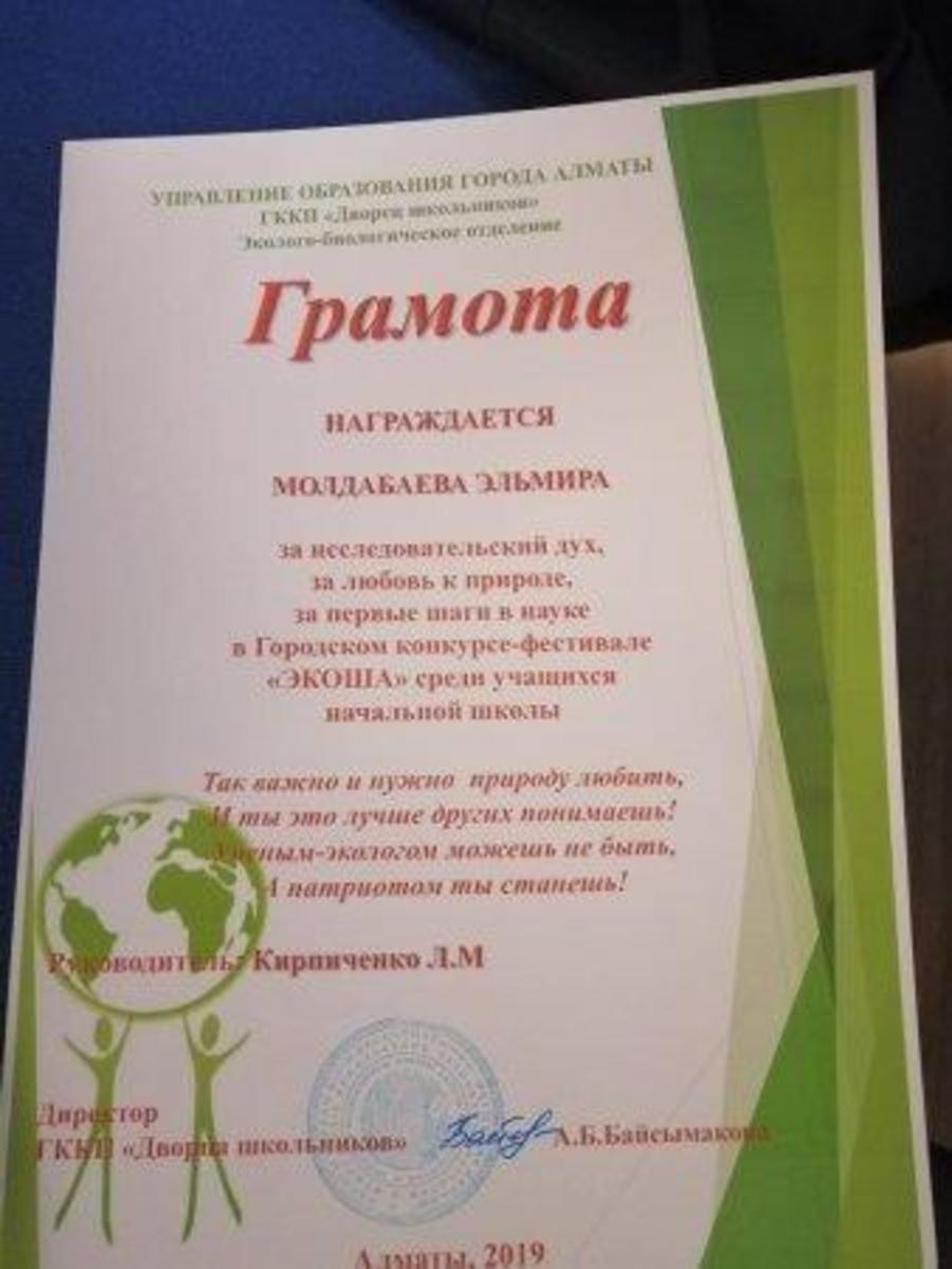 Городской конкурс-фестиваль "ЭКОША"