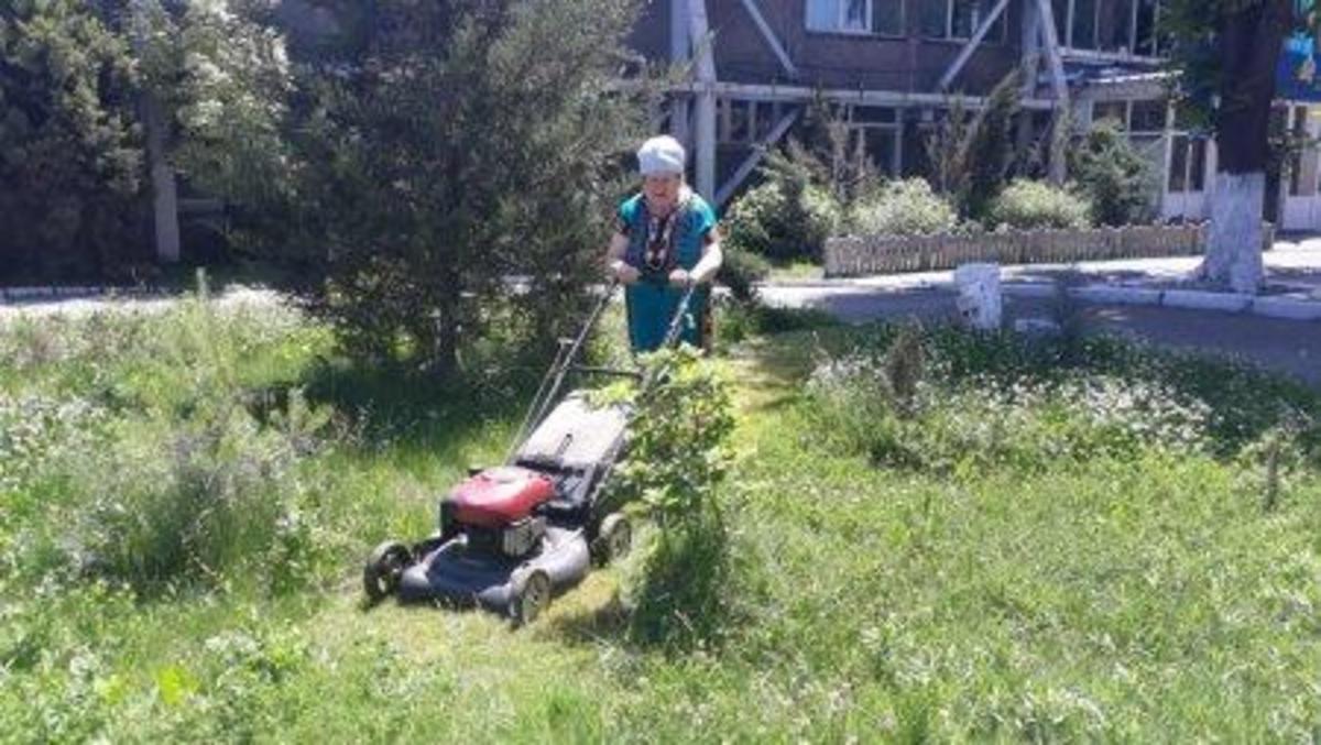 Пришкольный участок