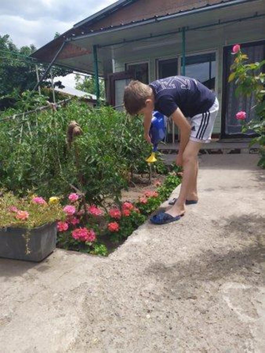 Онлайн - конкурс фотографий на тему: ,,Во саду ли, в огороде"