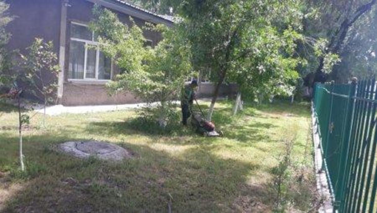 Облагораживание школьной территории