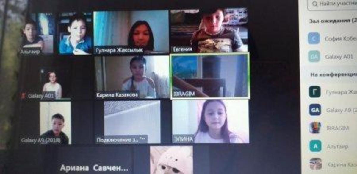 Проведены дистанционные уроки