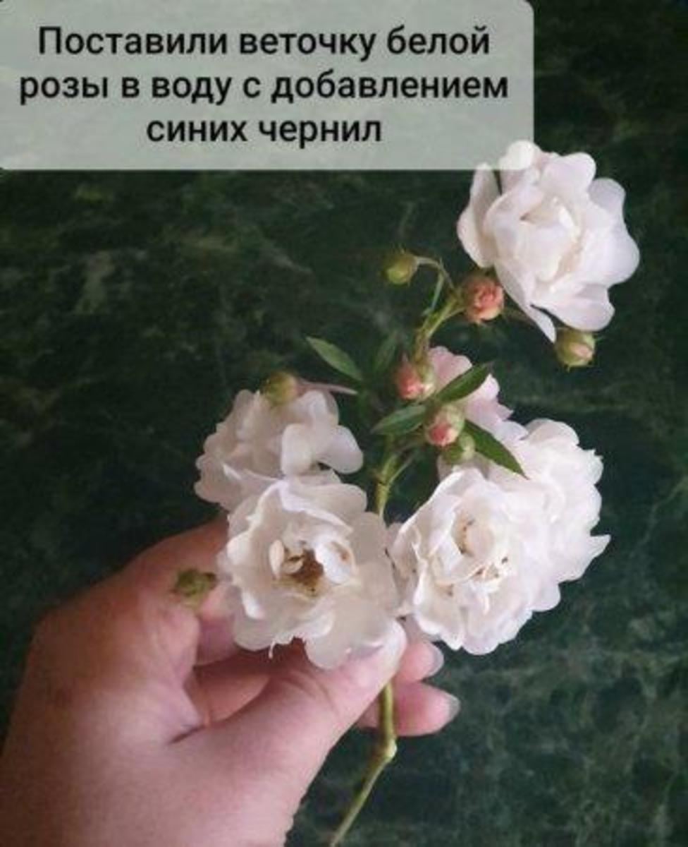 Работа ,,Букет для мамы"