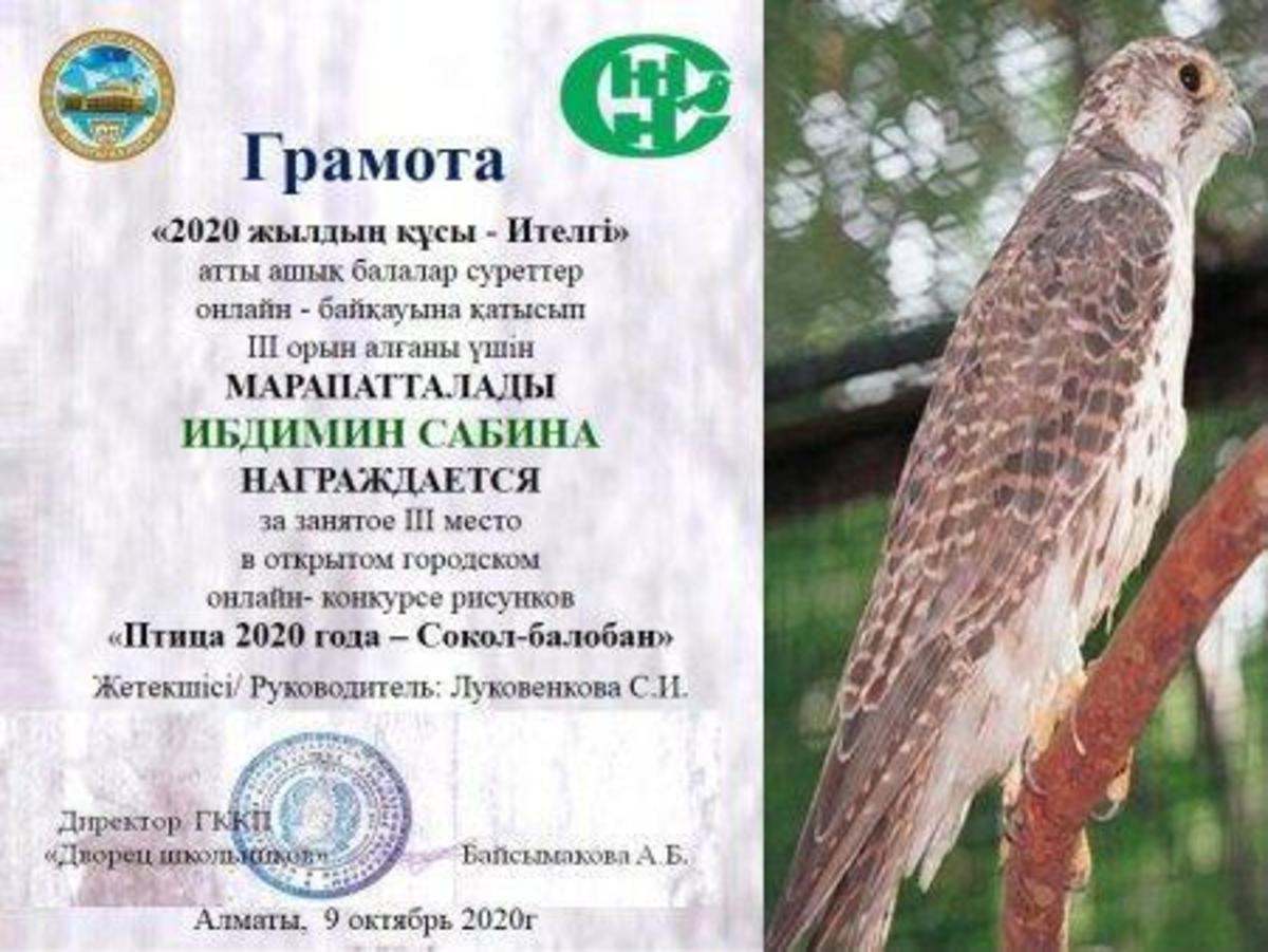 Награждена грамотой за занятое 3 место