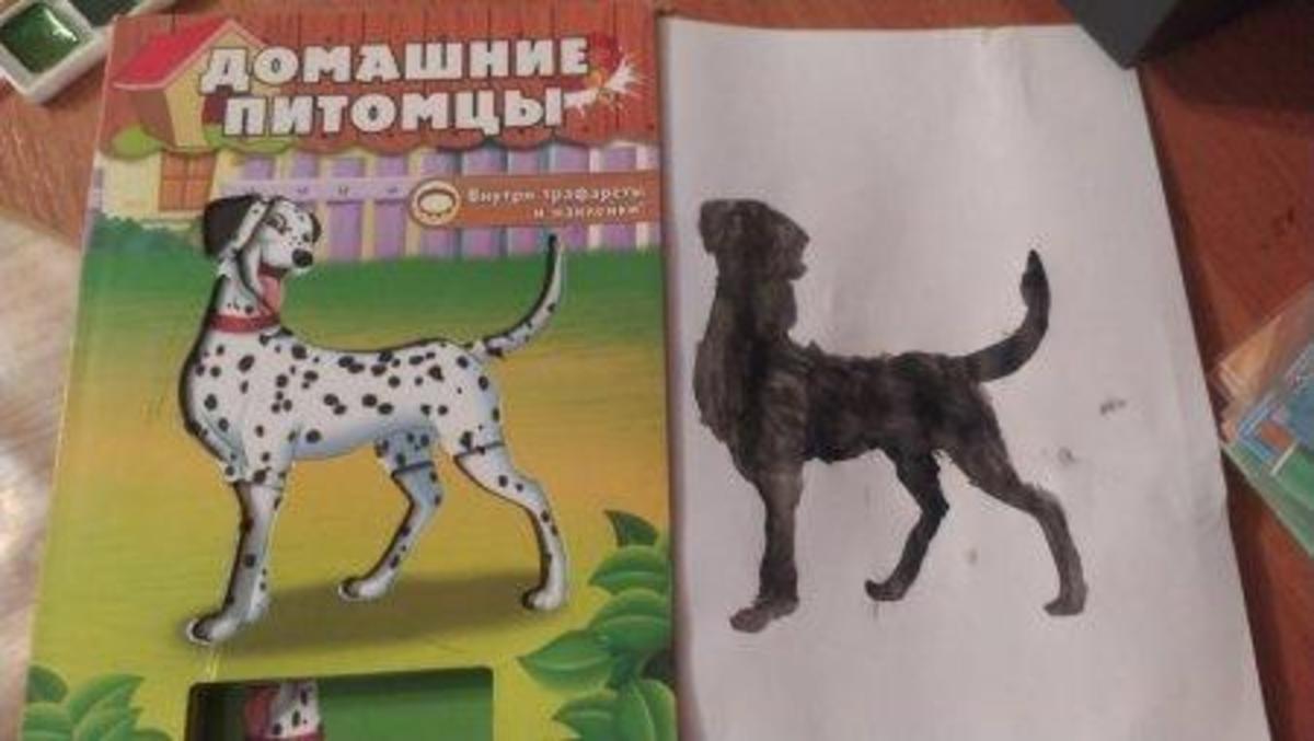 Жануарлар әлемі. Животный мир