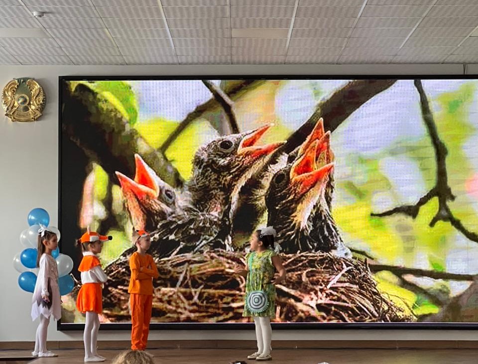 Спектакльді көрсету. Показ спектакля.